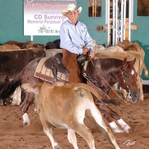 Valentines Day Breeding-Jasons Peptolena