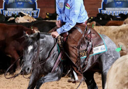 Great Catsby X Su Shiney Lena