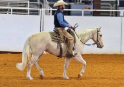Yellow Rose of Sioux